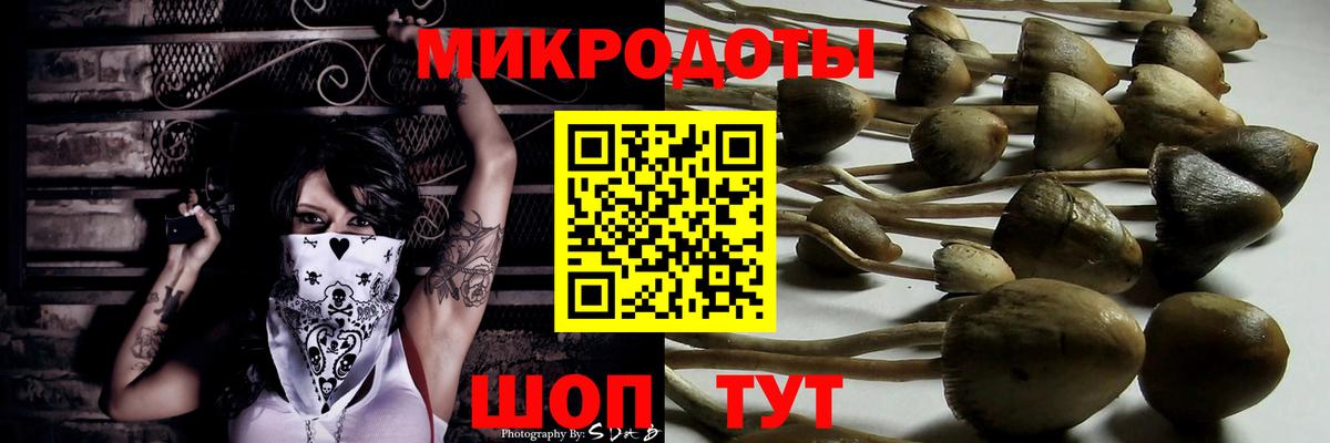 Среднеуральск  Псилоцибиновые грибы прущие грибы  Вход с VPN 