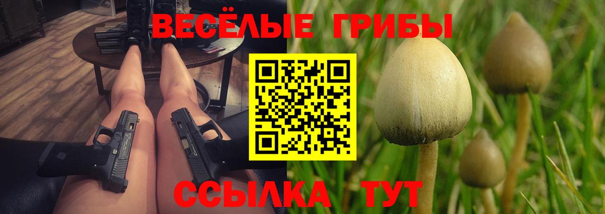 Псилоцибиновые грибы Psilocybine cubensis Среднеуральск